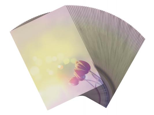 Stationery Tulips Writing paper